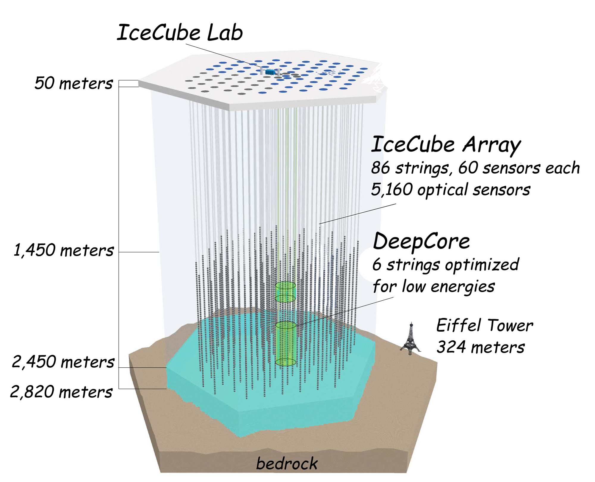 The deep sub-surface of IceCube with its many sensors. Notice the Eiffel Tower to scale