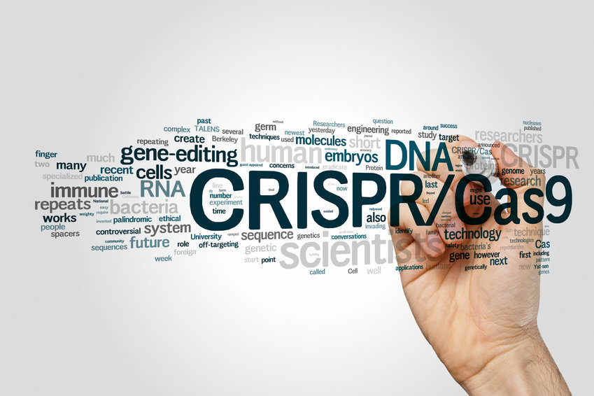 Thomas Edison Likes Editing Genetic Materials