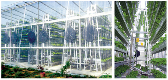 Sky Greens is a single-story vertical farm.